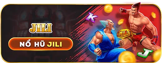 Chương trình VIP b29 chính thức